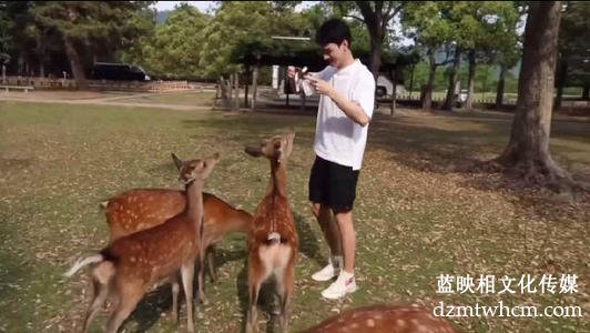 宣傳片拍攝